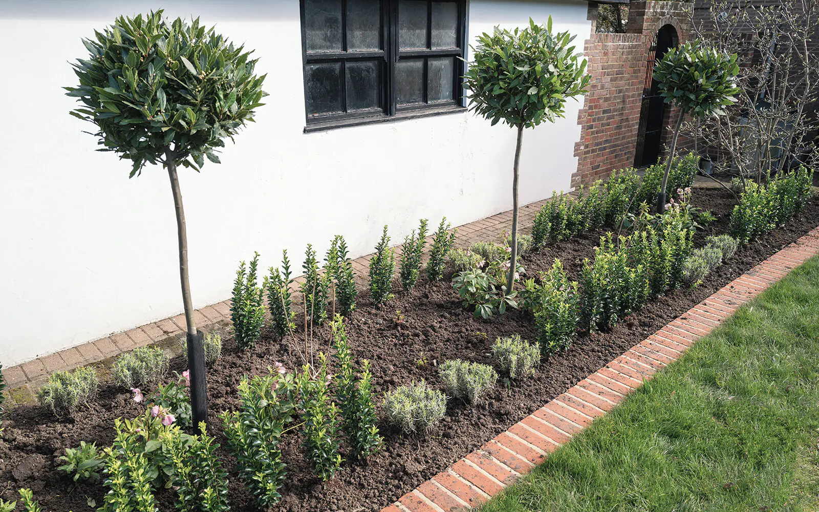 Orchard Landscaping Work