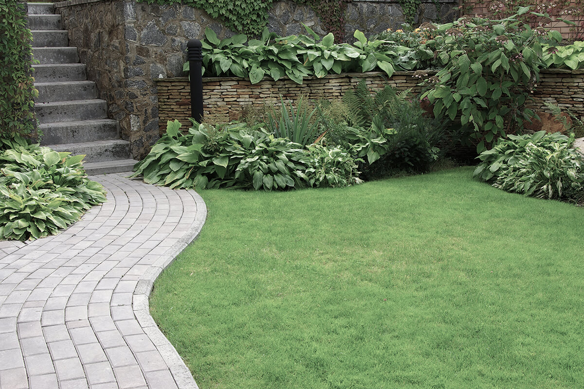 Welcome to Orchard Landscaping